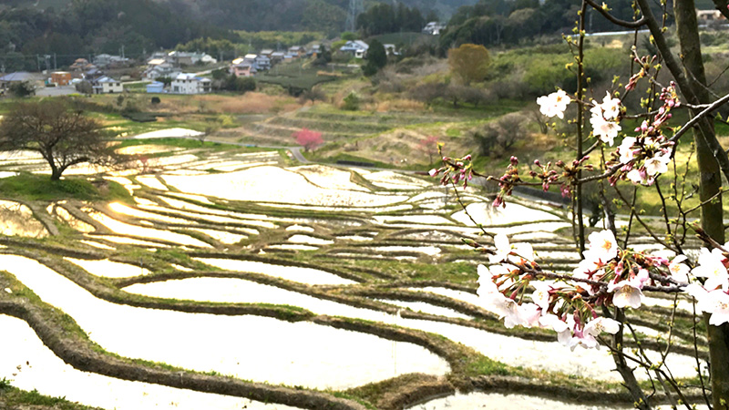 生物多様性ライフ